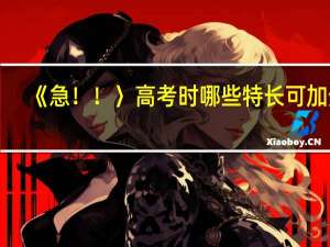 《急！！〉高考时哪些特长可加分