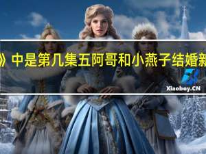 《新还珠格格》中是第几集五阿哥和小燕子结婚 新还珠格格紫薇结婚