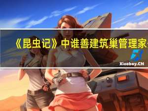 《昆虫记》中谁善建筑巢管理家务_