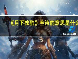 《月下独酌》全诗的意思是什么