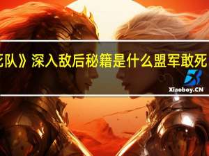 《盟军敢死队》深入敌后秘籍是什么 盟军敢死队使命召唤秘籍