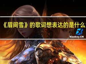 《眉间雪》的歌词想表达的是什么意思