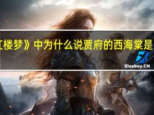 《红楼梦》中为什么说贾府的西海棠是回光返照
