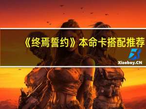 《终焉誓约》本命卡搭配推荐