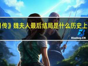 《芈月传》魏夫人最后结局是什么历史上有这个人吗