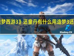 《造梦西游3》还童丹有什么用 造梦3还童是什么