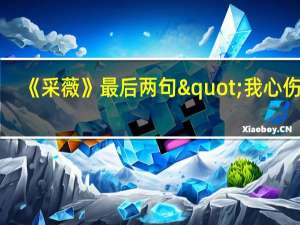 《采薇》最后两句"我心伤悲,莫知我哀."包含哪些伤感的内容