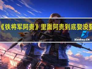 《铁将军阿贵》里面阿贵到底娶没娶如意