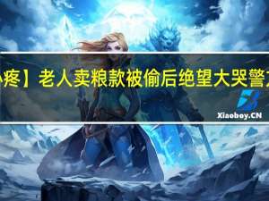 【心疼】老人卖粮款被偷后绝望大哭 警方已介入