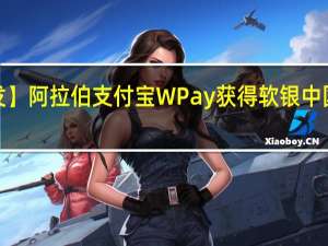 【首发】阿拉伯支付宝WPay获得软银中国资本投资