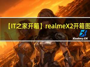 【IT之家开箱】realme X2开箱图赏：6400万鹰眼四摄，1599元起