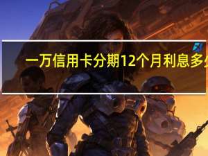 一万信用卡分期12个月利息多少