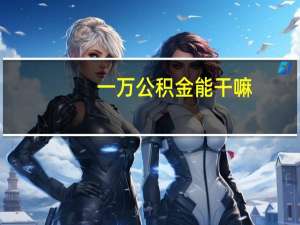 一万公积金能干嘛