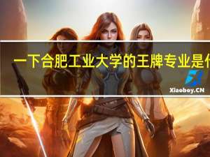 一下合肥工业大学的王牌专业是什么