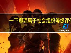 一下哪项属于社会组织等级评估
