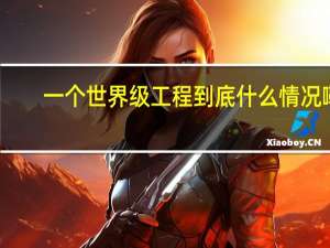 一个世界级工程 到底什么情况嘞