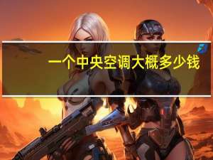一个中央空调大概多少钱