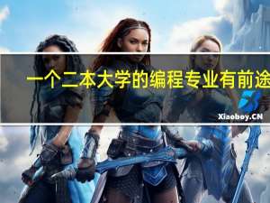 一个二本大学的编程专业有前途吗