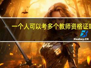 一个人可以考多个教师资格证吗