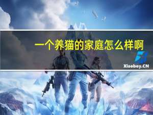 一个养猫的家庭怎么样啊