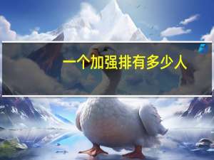 一个加强排有多少人