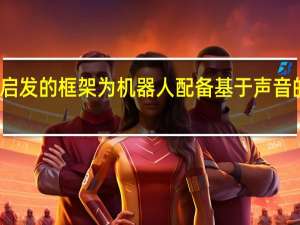 一个受蝙蝠启发的框架为机器人配备基于声音的定位和映射功能