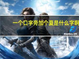 一个口字旁加个夏是什么字啊