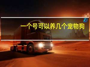 一个号可以养几个宠物狗