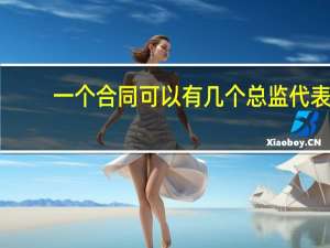 一个合同可以有几个总监代表