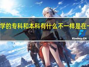 一个大学的专科和本科有什么不一样 是在一个学校里吗