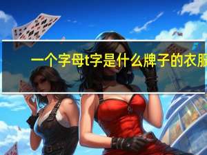 一个字母t字是什么牌子的衣服
