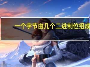 一个字节由几个二进制位组成,可以存多少个整数位