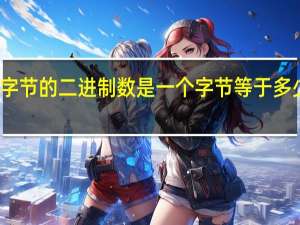 一个字节的二进制数是 一个字节等于多少二进制数