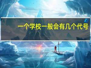 一个学校一般会有几个代号