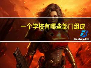 一个学校有哪些部门组成