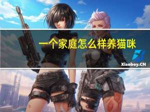 一个家庭怎么样养猫咪