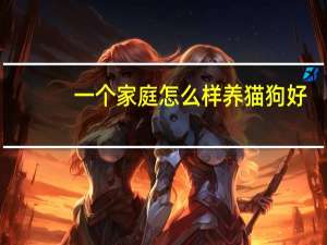 一个家庭怎么样养猫狗好