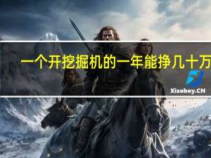 一个开挖掘机的一年能挣几十万吗