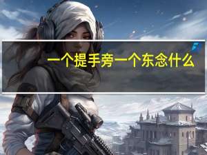 一个提手旁一个东念什么
