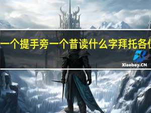一个提手旁一个昔读什么字拜托各位大神