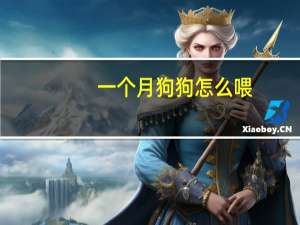 一个月狗狗怎么喂
