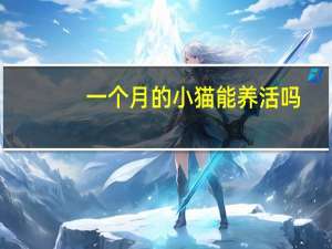 一个月的小猫能养活吗