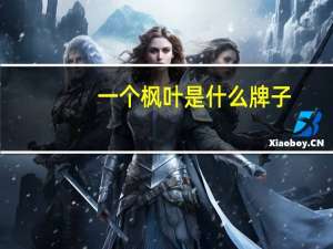 一个枫叶是什么牌子