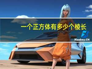 一个正方体有多少个棱长