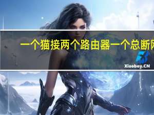 一个猫接两个路由器一个总断网（一个猫接两个路由器）
