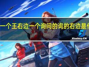 一个王右边一个询问的询的右边是什么字