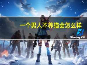 一个男人不养猫会怎么样