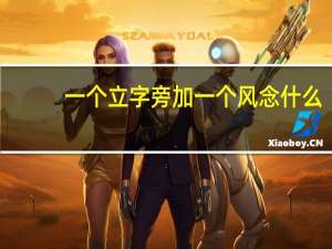 一个立字旁加一个风念什么（一个立加一个风念什么）