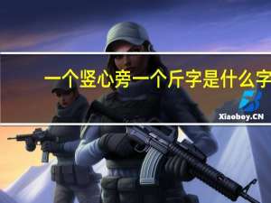 一个竖心旁一个斤字是什么字（一个竖心旁一个斤字）