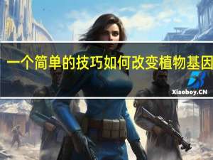 一个简单的技巧如何改变植物基因分析